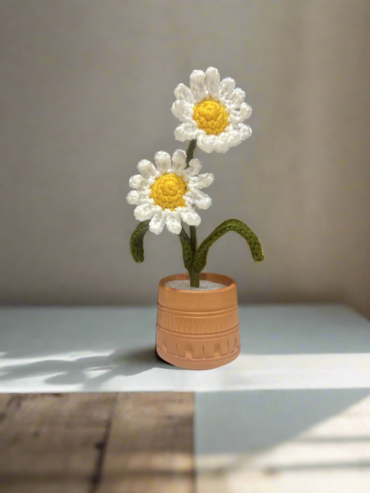 Handmade Crochet Daisy Flower Arrangement in Terracotta Pot